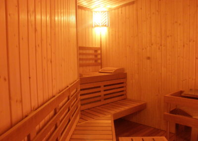 sauna professional