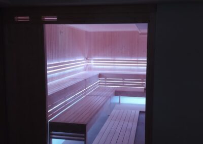 professional sauna