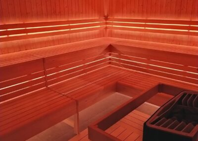 professional sauna